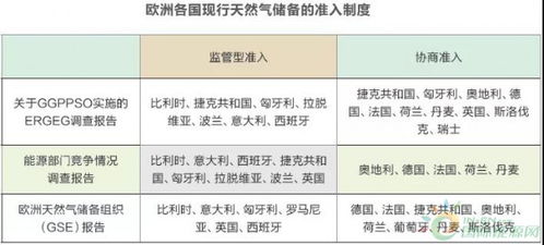 歐洲天然氣管網(wǎng)基礎(chǔ)設(shè)施 建設(shè)運(yùn)營與監(jiān)管機(jī)制解析